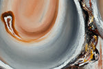 Abstract Oysters