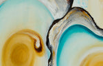 Four Oysters 2